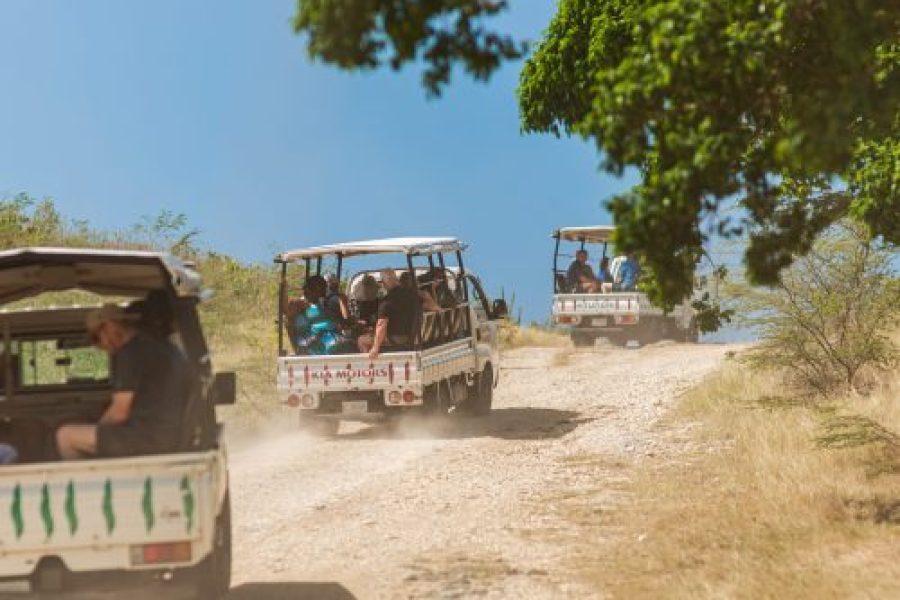 Tropical Adventures I Land & Sea Excursion, A Catamaran Boat Tour and Jeep Safari in Antigua