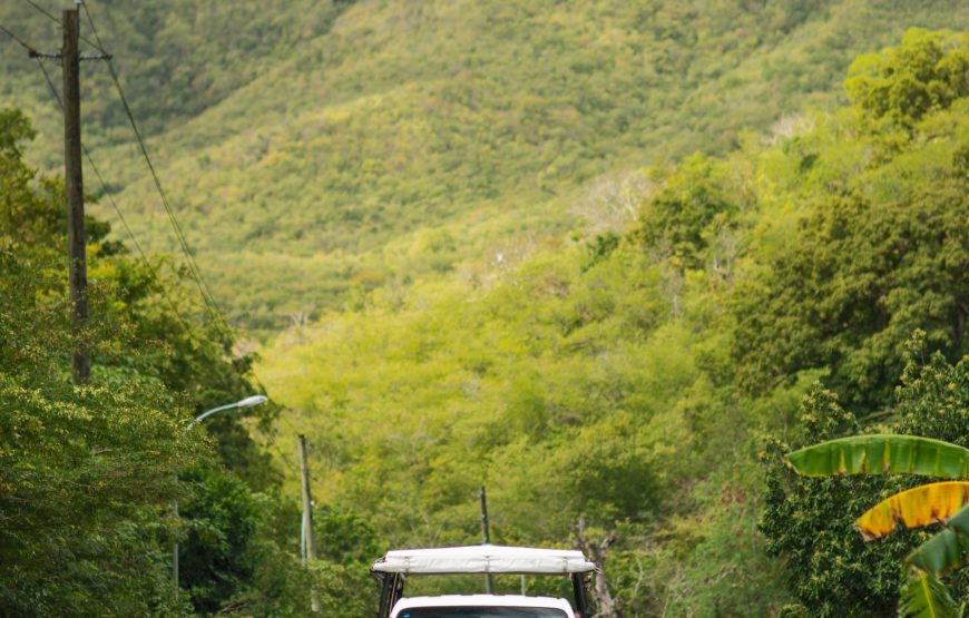 Tropical Adventures I Land & Sea Excursion, A Catamaran Boat Tour and Jeep Safari in Antigua