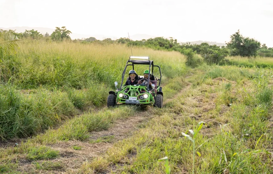 Sweet Wadadli Jungle Rides  I Saturday Night Special Body Pond Excursion