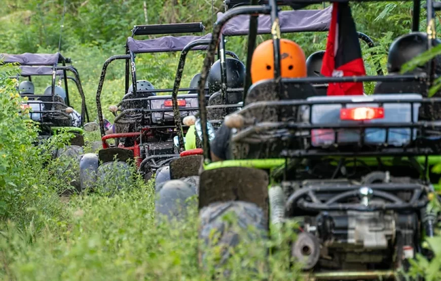 Sweet Wadadli Jungle Rides I Sunday Funday Full Excursion