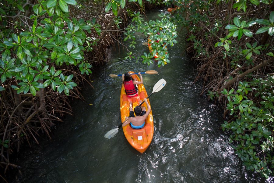 SOCOHO I Safari & Kayak