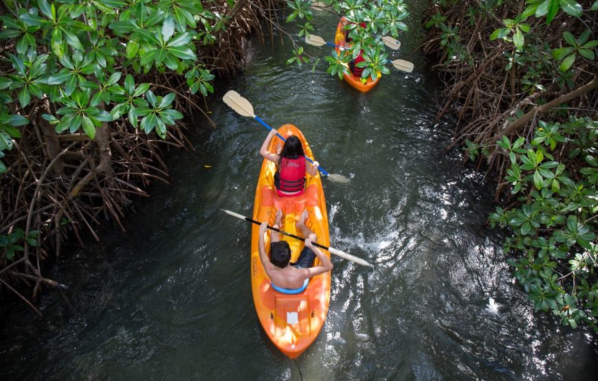 SOCOHO I Safari & Kayak