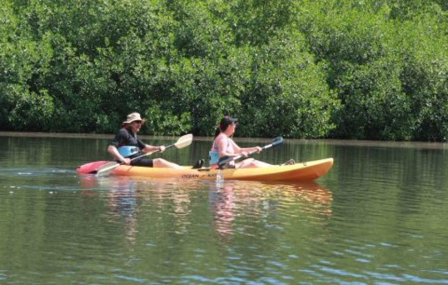 SOCOHO – Kayak and Snorkel Tour