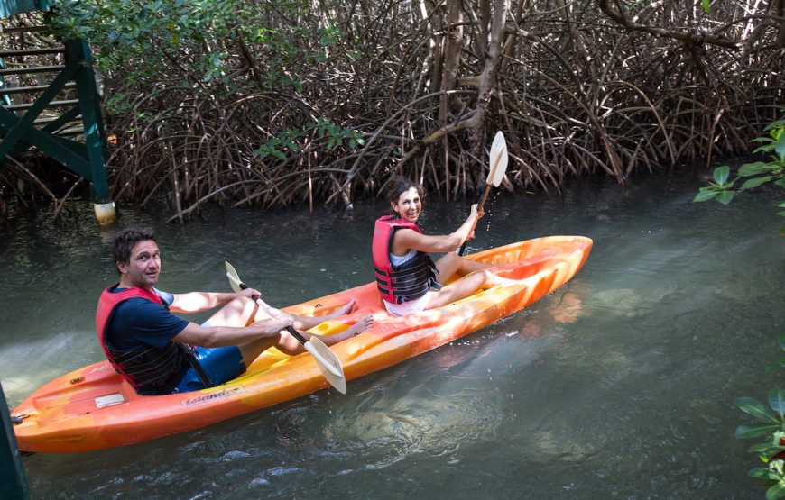 SOCOHO – Kayak and Snorkel Tour