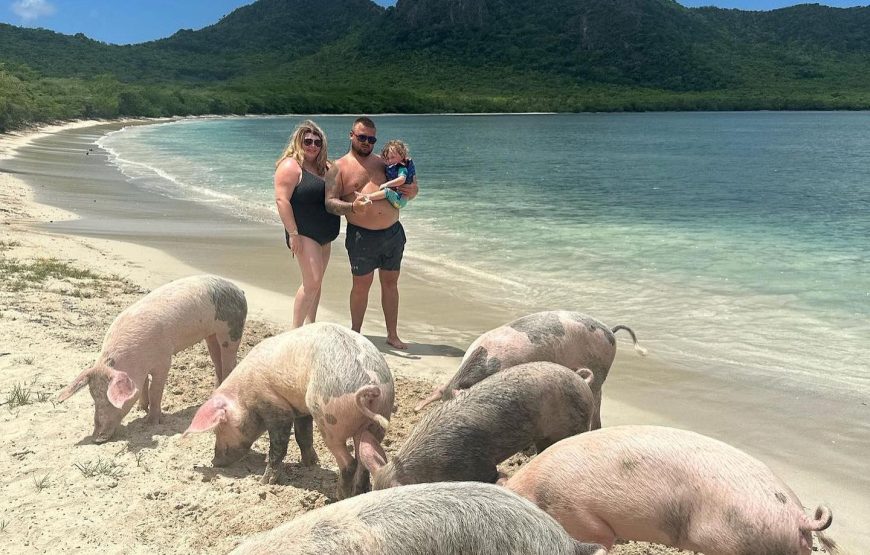 Pig’s Paradise Antigua