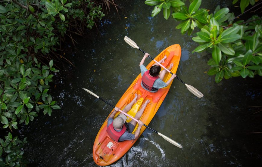 SOCOHO I Safari & Kayak