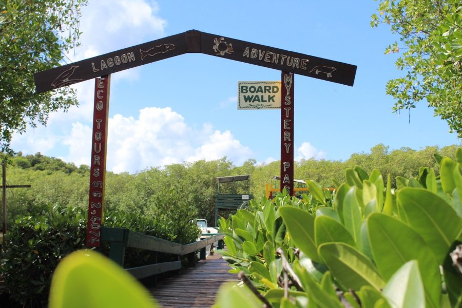 SOCOHO I Educational  Boardwalk Adventure