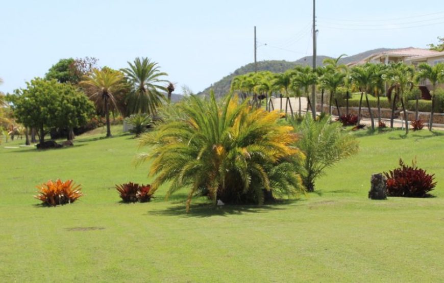 South Coast Horizons I Garden View