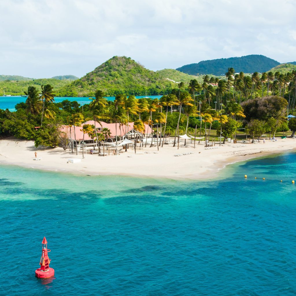 The coast of the Caribbean island of Martinique French Polynesia. Beaches with turquoise water and palm trees.