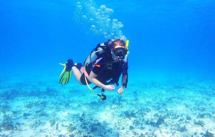 Antigua Scuba School I PADI Scuba Diver