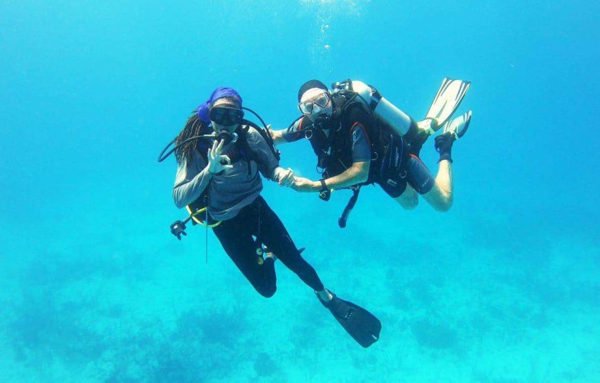 Antigua Scuba School I 2 Tank Live