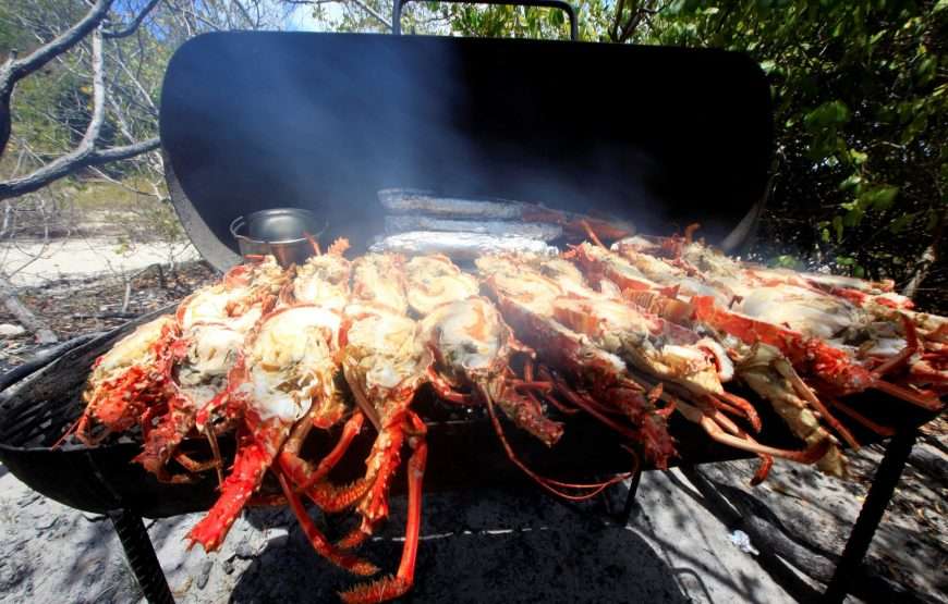 Creole Antigua Tours I Snorkel and Lobster Lunch Cruise