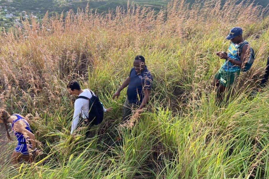 Amenta Wellness Journey I Nature Walk