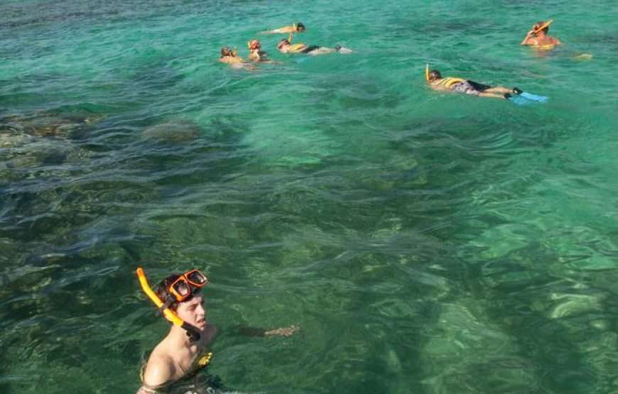 Stingray City I Kayaking Tour