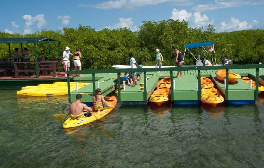 Stingray City I Kayaking Tour