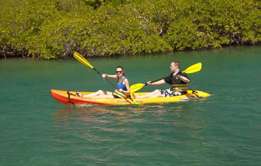 Stingray City I Kayaking Tour