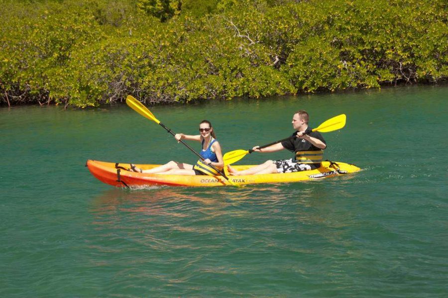 Stingray City I Kayaking Tour