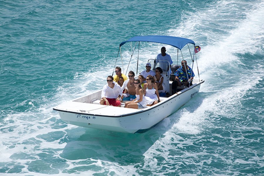 Stingray City I Combination Tour