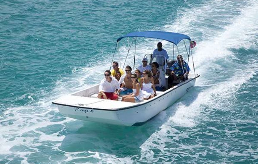 Stingray City I Combination Tour