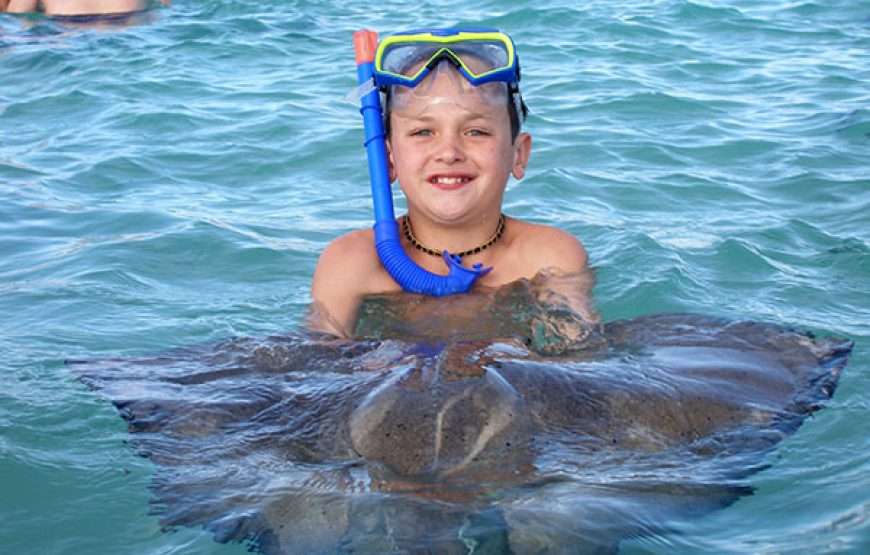 Stingray City I Sting Ray Tour