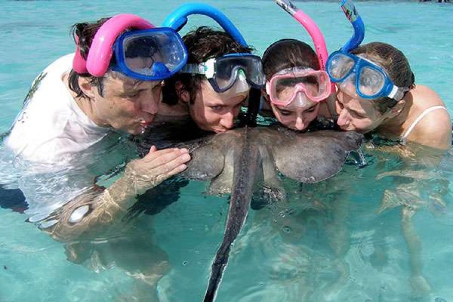 Stingray City I Sting Ray Tour