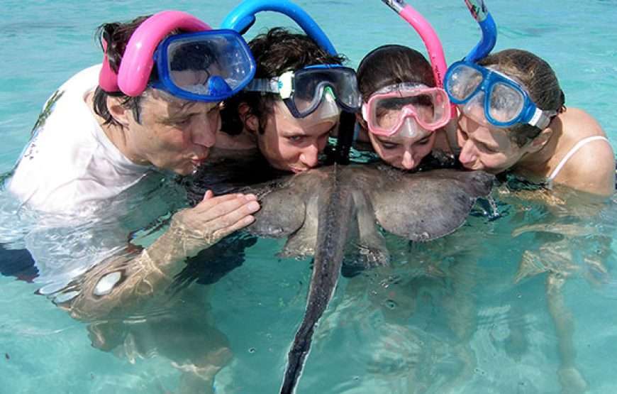 Stingray City I Combination Tour