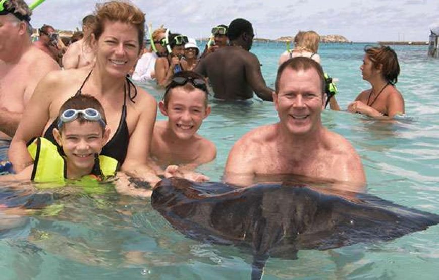 Stingray City I Sting Ray Tour