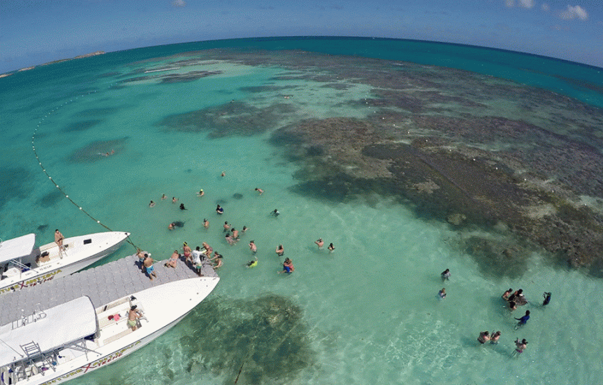 Stingray City I Combination Tour