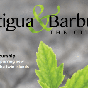 entrepreneurship in Antigua