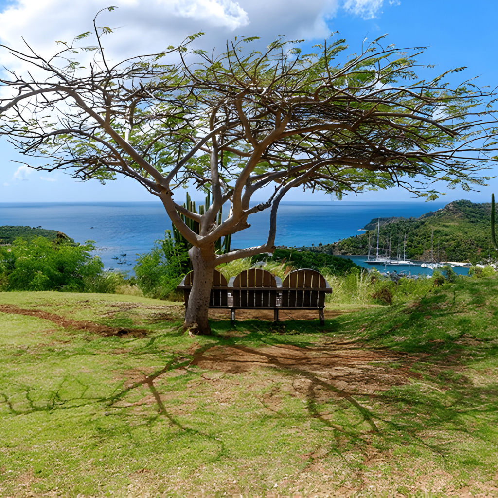 Antigua Island Personalities