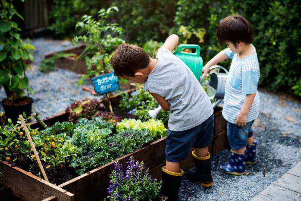 Kids-planting